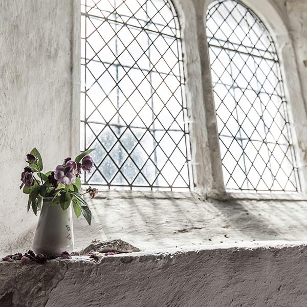 flowers on a window sill