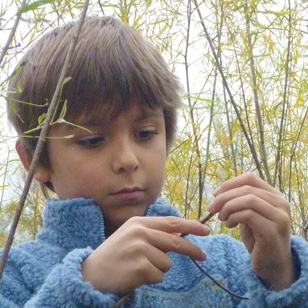 Child in the woods examining a twig