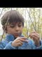 Child in the woods examining a twig