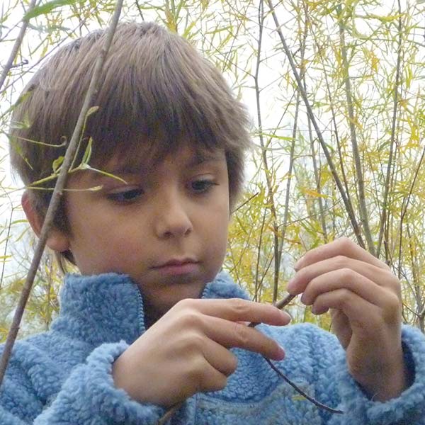 Child in the woods examining a twig
