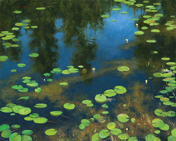 lily pads on a pond