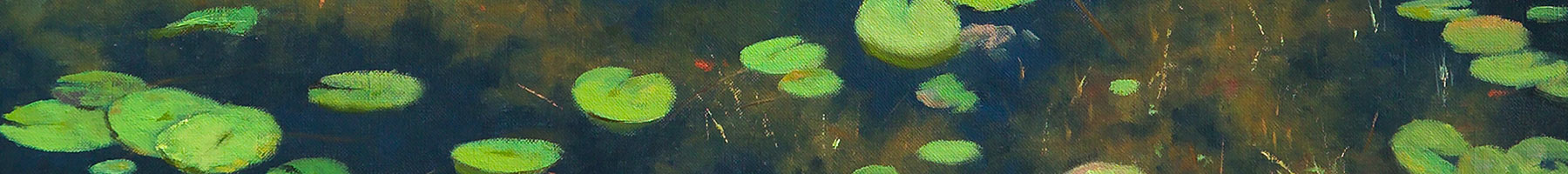 lily pads on a pond