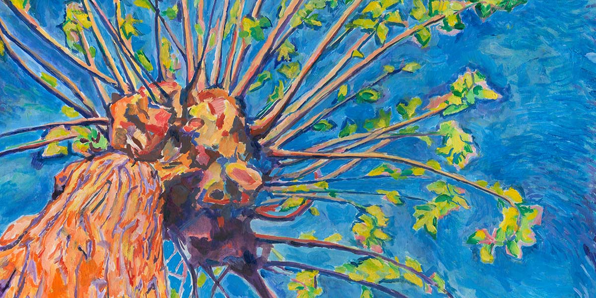 Plough Quarterly Autumn 2017 Issue 14 ReFormation