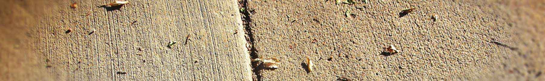 grayish brown sidewalk with dried leaves