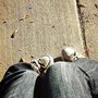 feetListing2