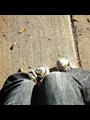 feetListing2