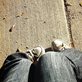 feetListing2