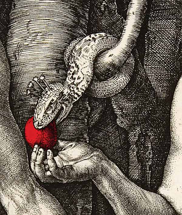 Albrecht Dürer, Adam and Eve, detail, 1507