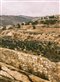 Shepherds’ fields near Bethlehem in Israel