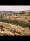 Shepherds’ fields near Bethlehem in Israel