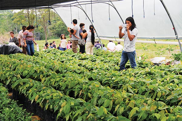 One of the Reach Beyond greenhouses in Ecuador