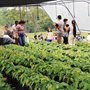 One of the Reach Beyond greenhouses in Ecuador