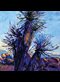Detail from Erin Hanson, Cactus Rainbow
