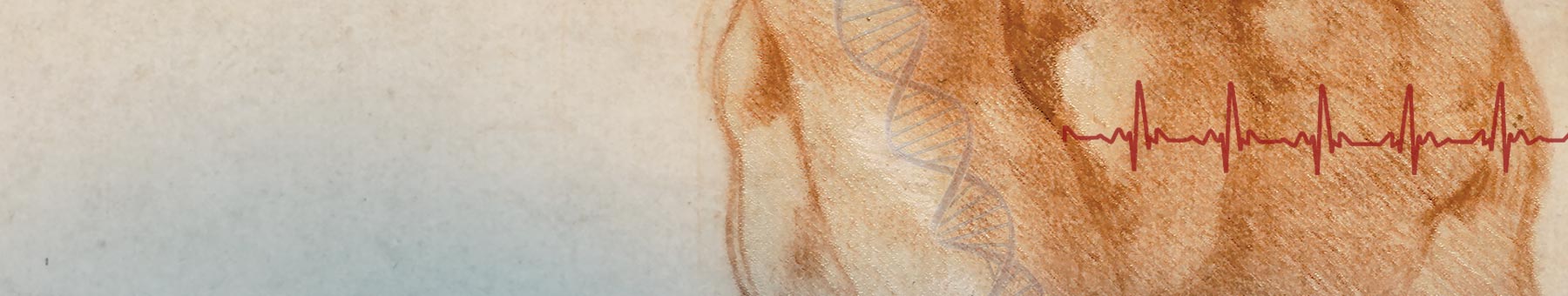 sketch by Michelangelo with a heart rate line and strand of DNA