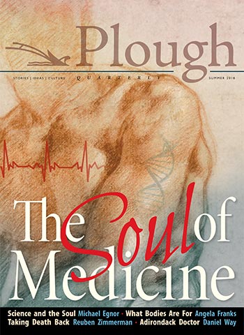 front cover of Plough Quarterly No. 17: The Soul of Medicine
