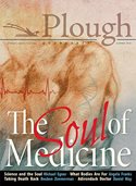 front cover of Plough Quarterly No. 17: The Soul of Medicine