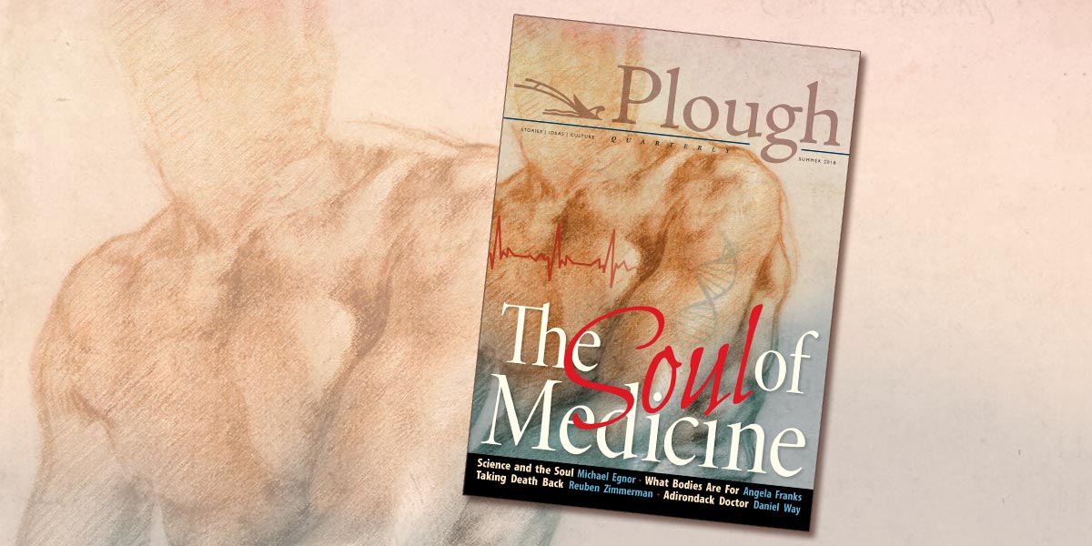 Plough Quarterly Summer 2018 Issue 17 The Soul of Medicine