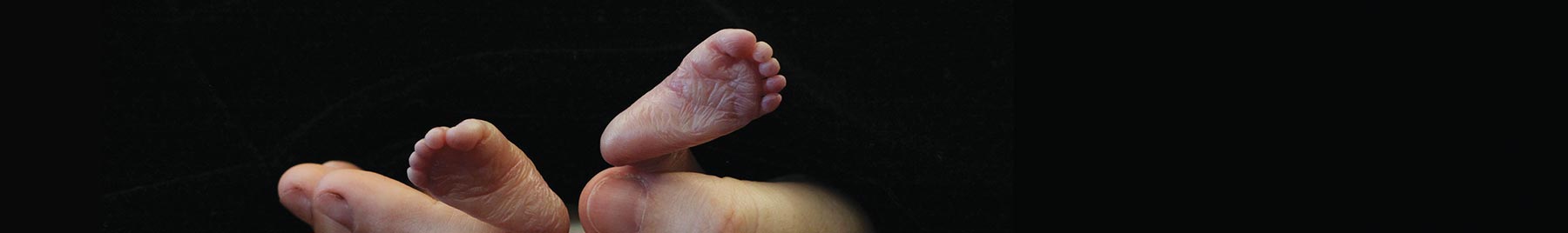 hands holding a babys feet