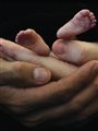 two hands holding a baby's feet
