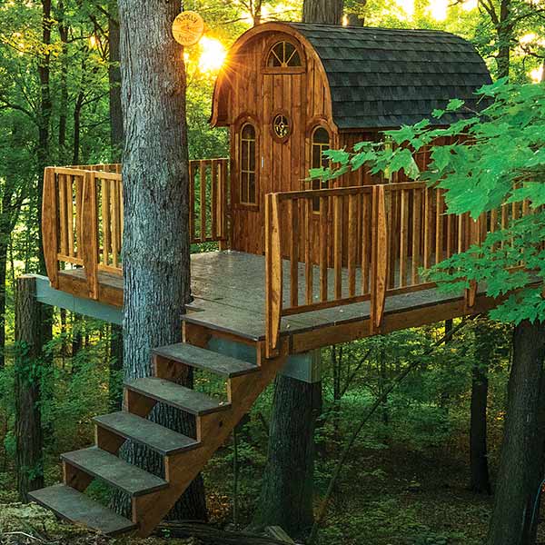 a tree house