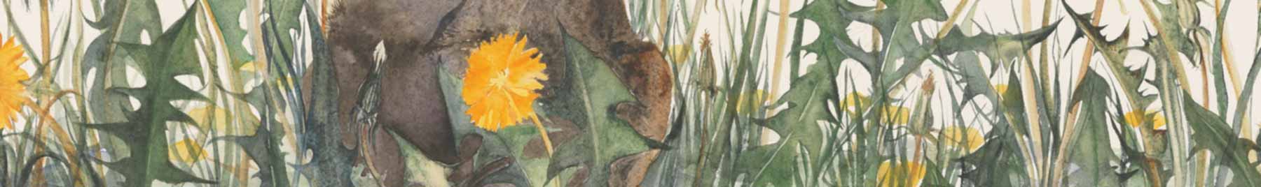 detail, Jackie Morris, Dandelion, from The Lost Words