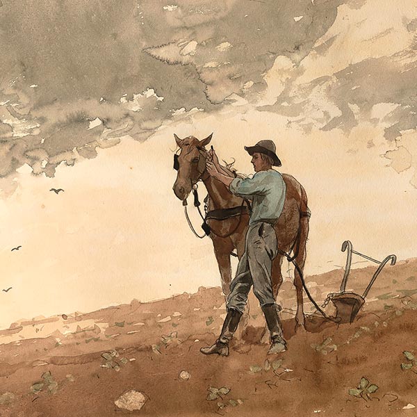 Detail from Winslow Homer, Man with Plow Horse, 1879