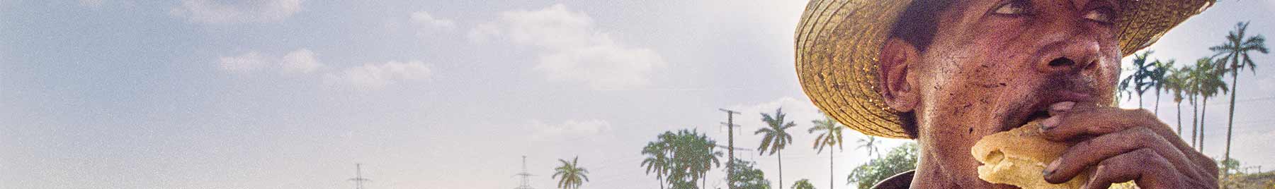 a man eating bread in a field surrounded by palm trees: André Chung, Cane Cutter, Havana, Cuba