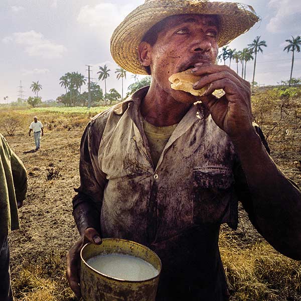 a man eating bread in a field surrounded by palm trees: André Chung, Cane Cutter, Havana, Cuba