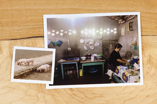 two photos on a wooden table, one of a woman cooking and the other of pigs in the street