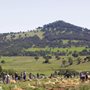 members of Danthonia Bruderhof planting olive trees