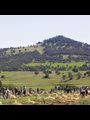 members of Danthonia Bruderhof planting olive trees