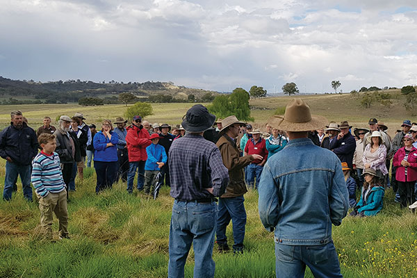 a group of people standing in a pasture