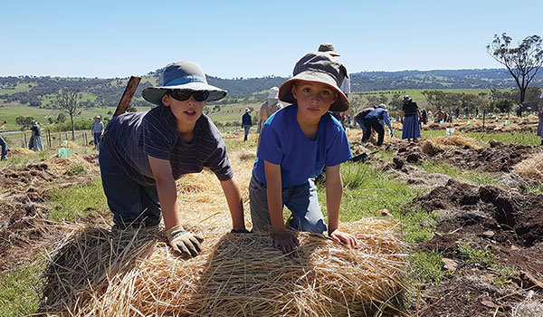 two boys in sunhats leaning on a hay bale