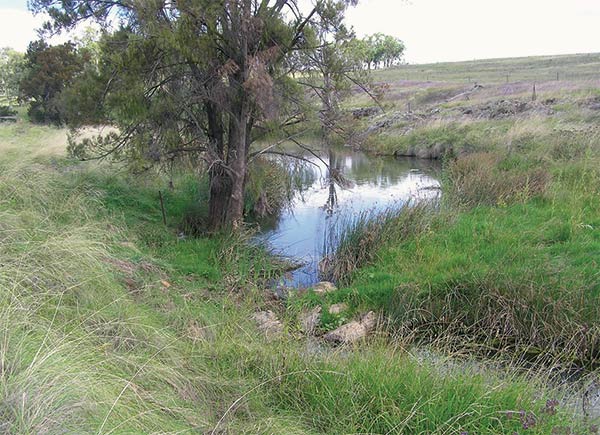 a pile of rocks in the bend of a stream