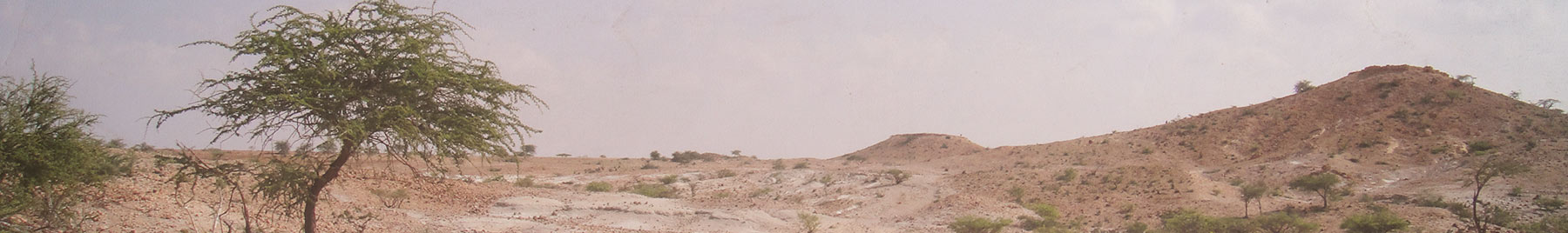 rugged Somali countryside with a few trees