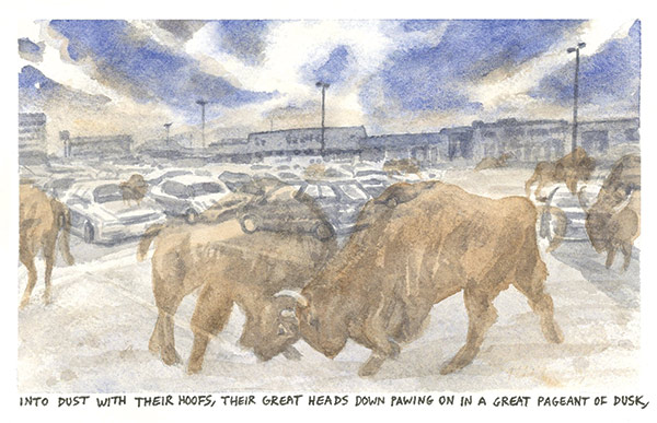 a watercolor painting of two buffalo fighting in a parking lot