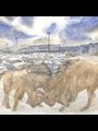 a watercolor painting of two buffalo fighting in a parking lot