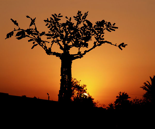 Tree of Life at Sunset, sculpture by Kester, Hilario Nhatugueja, Fiel dos Santos, and Adelino Serafim Maté