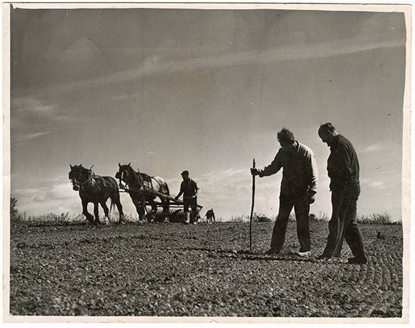 Fred Goodwin and other members of the Bruderhof in England on their farm