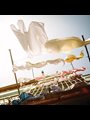 Clothes on a line