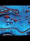 blue and red oil on water