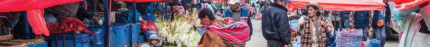 Street market in El Alto, near where the community has its farm