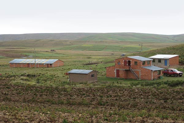 The community’s  farm on the Altiplano