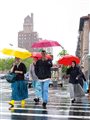 people walking across a street in New York with brightly colored umbrellas in the rain