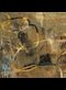 earth-toned abstract painting