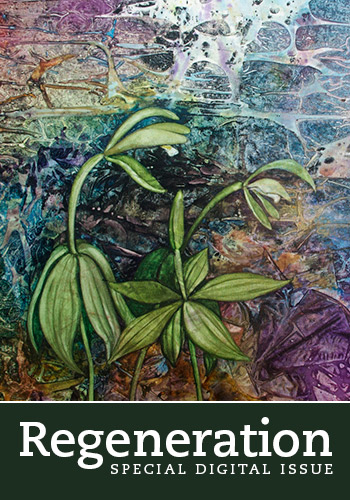 two green plants on a colorful background