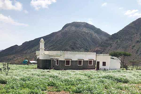 mosque in Djibouti