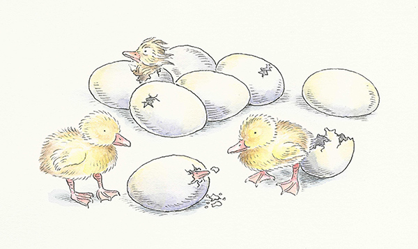 illustration of chicks hatching from eggs