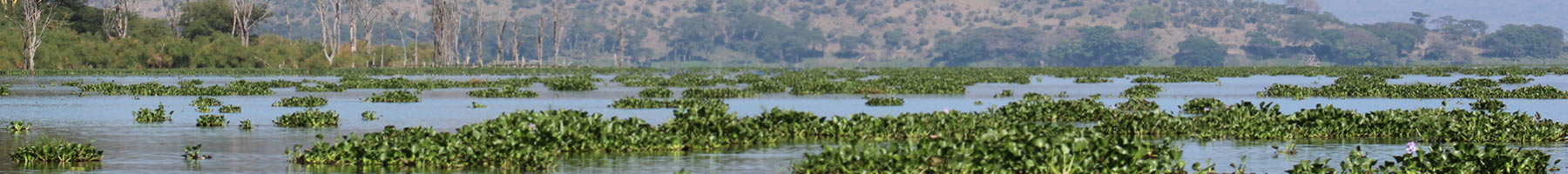 floodplain in Kenya