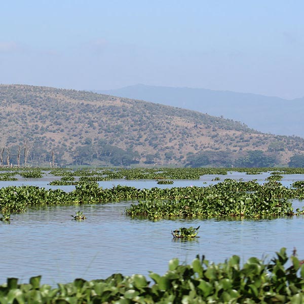 floodplain in Kenya